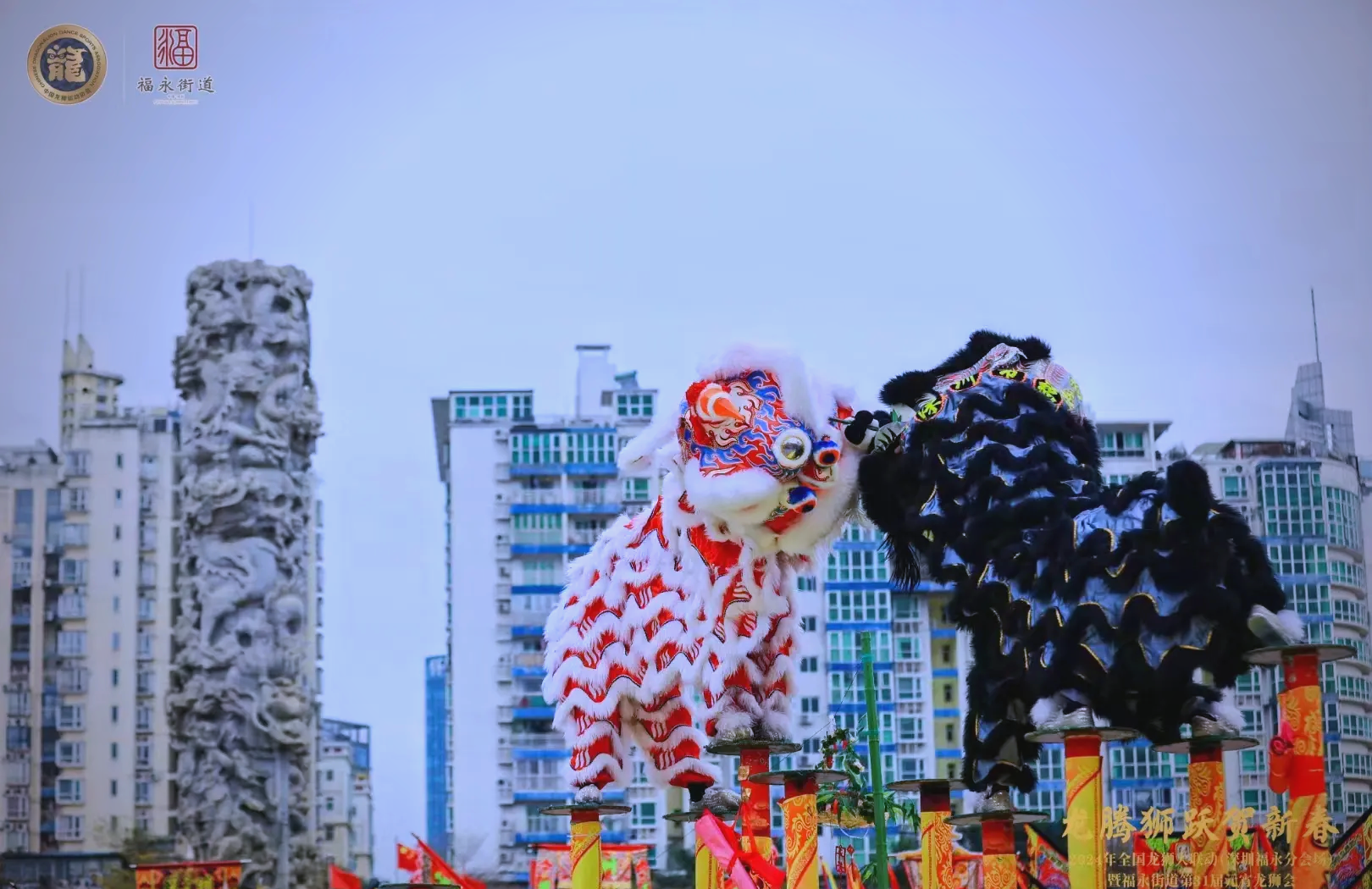 包含舞龙舞狮大赛：传统文化的活力呈现的词条