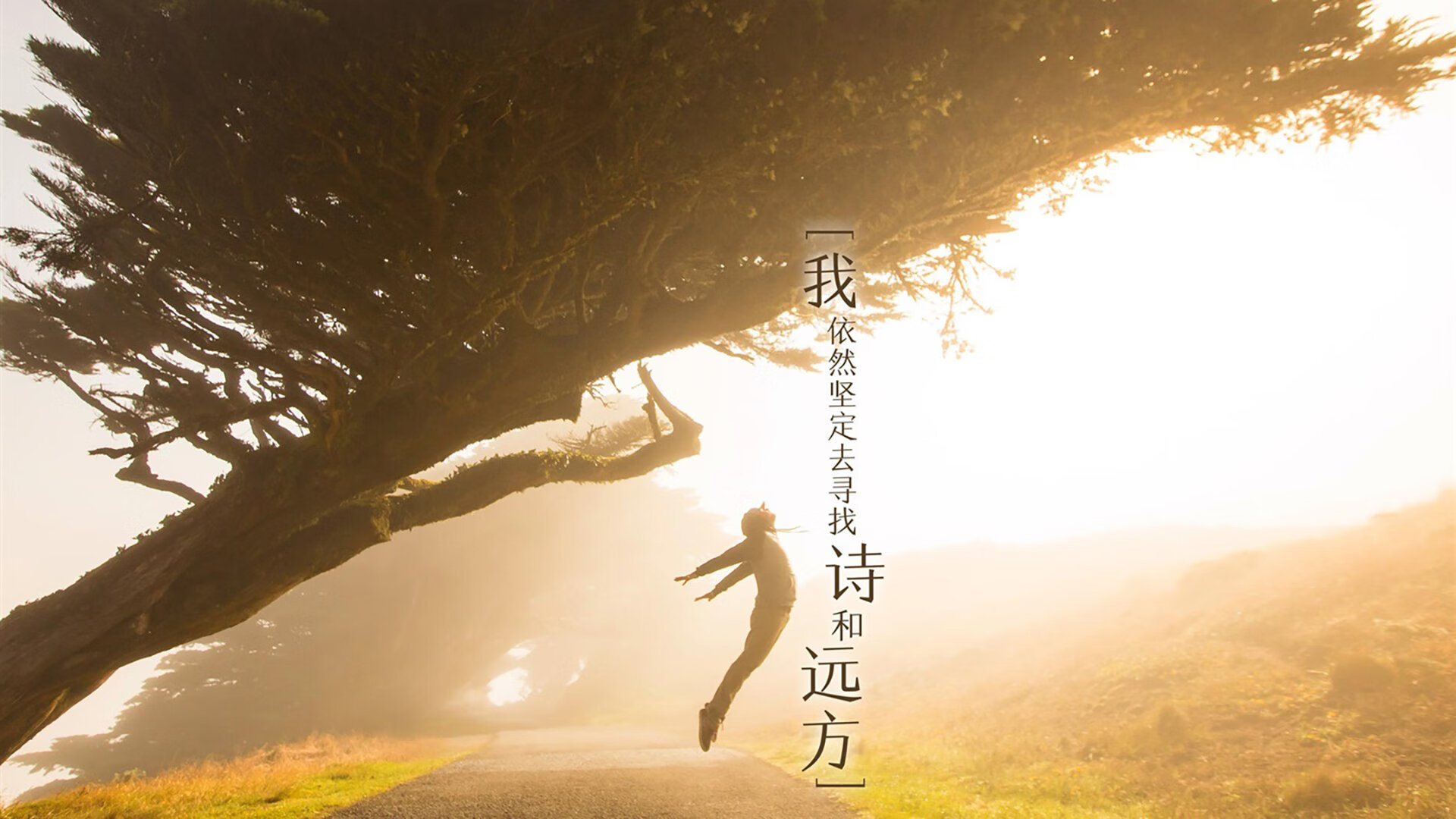 比利时女篮在本届奥运会上表现出色，获得第四名，比利时女篮奥运战绩