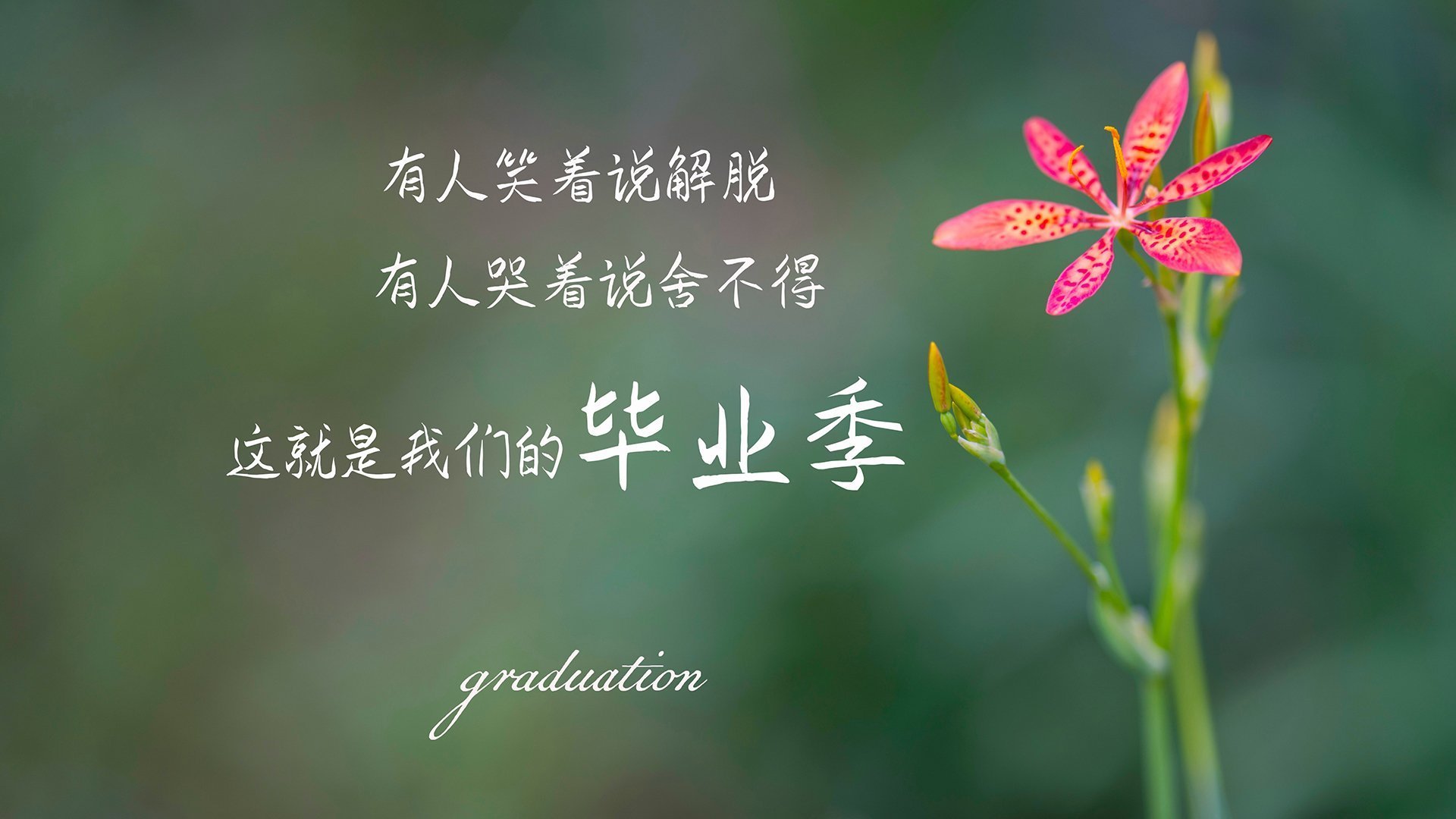 全国花式篮球争霸赛年轻选手大秀绝技，全国花式篮球邀请赛