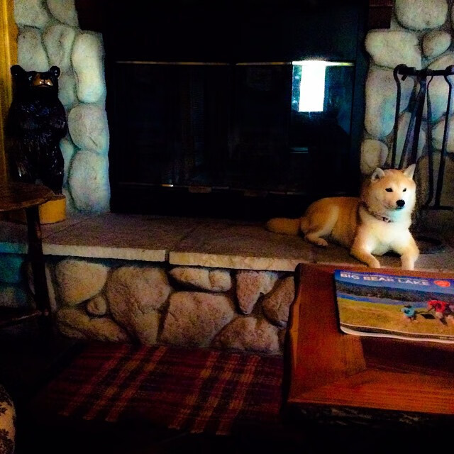 场馆运维平台实现全天候智能监控，场馆运营系统