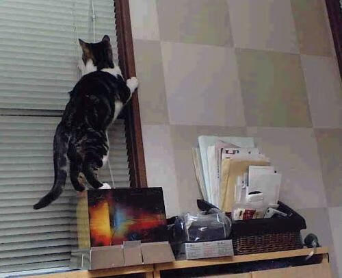 青训梯队逐渐成型各俱乐部人才储备增强，青训队是干嘛的