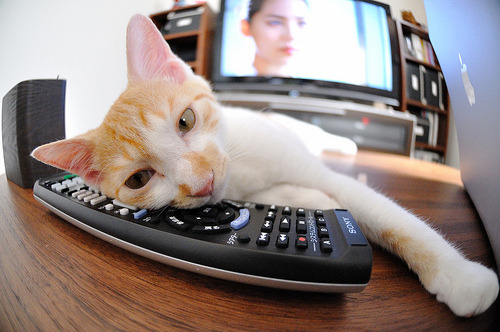 勇士训练时长延长球员投入度高，勇士训练短袖