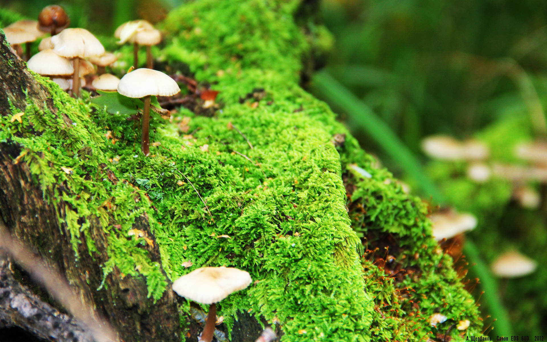 国家队加强体能储备训练应对高密度赛程挑战，国家队体能训练中心