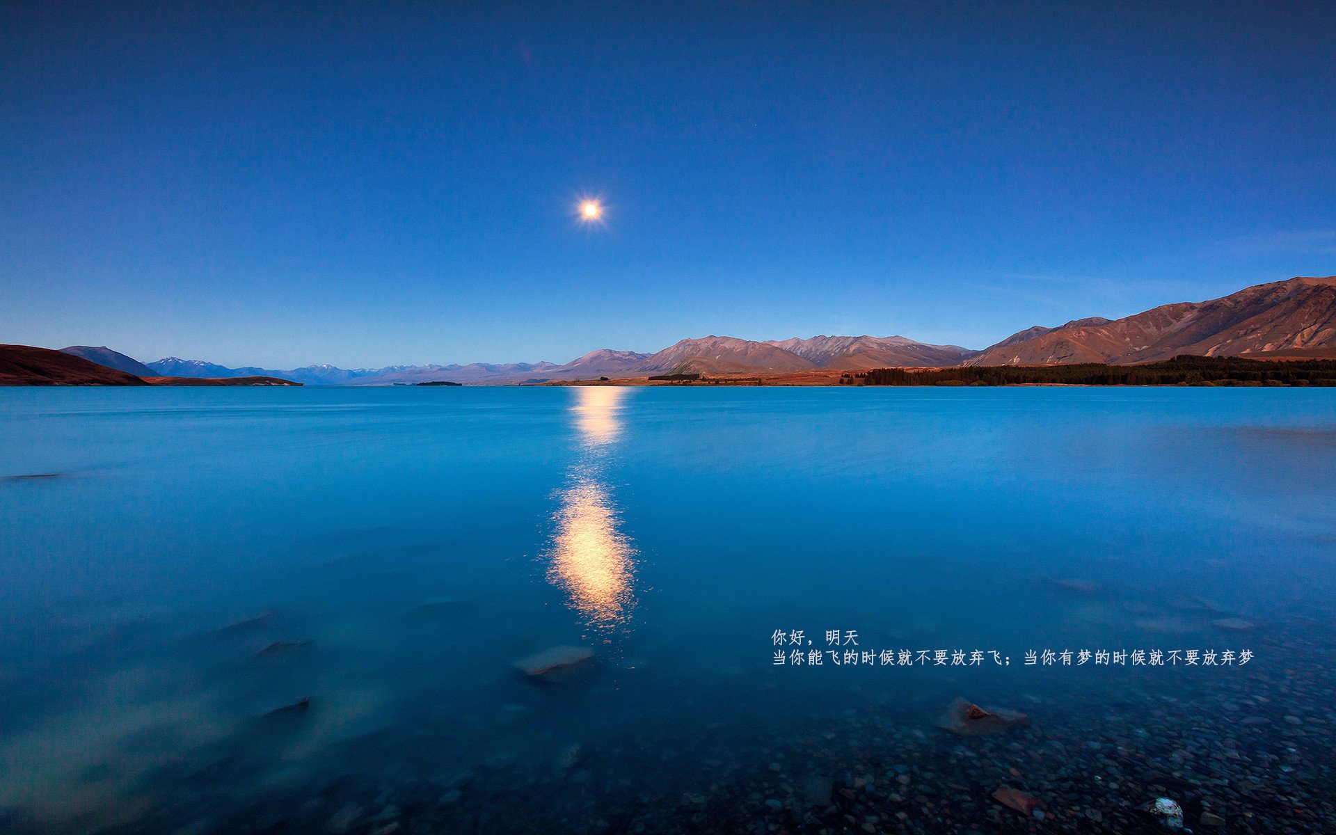 斯洛伐克男篮在欧洲大赛中奋勇追梦,开启新辉煌,斯洛伐克阵容欧洲杯