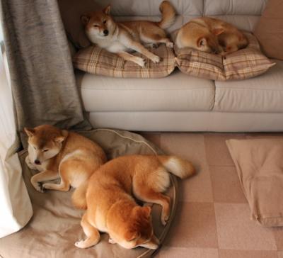 爱游戏电竞官网-波兰蝶泳先锋赫梅列夫斯基受关注，波兰蝶泳先锋赫梅列夫斯基受关注吗