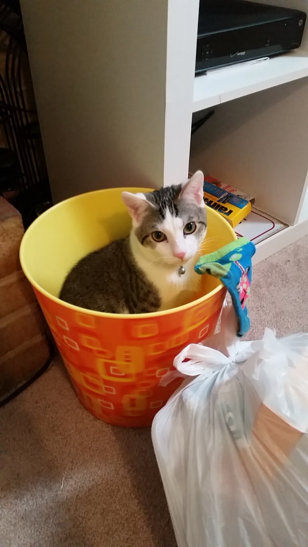 爱游戏在线登录入口-绿色环保足球鞋在市场推广，推动低碳运动产品发展，绿色足球鞋配什么袜子