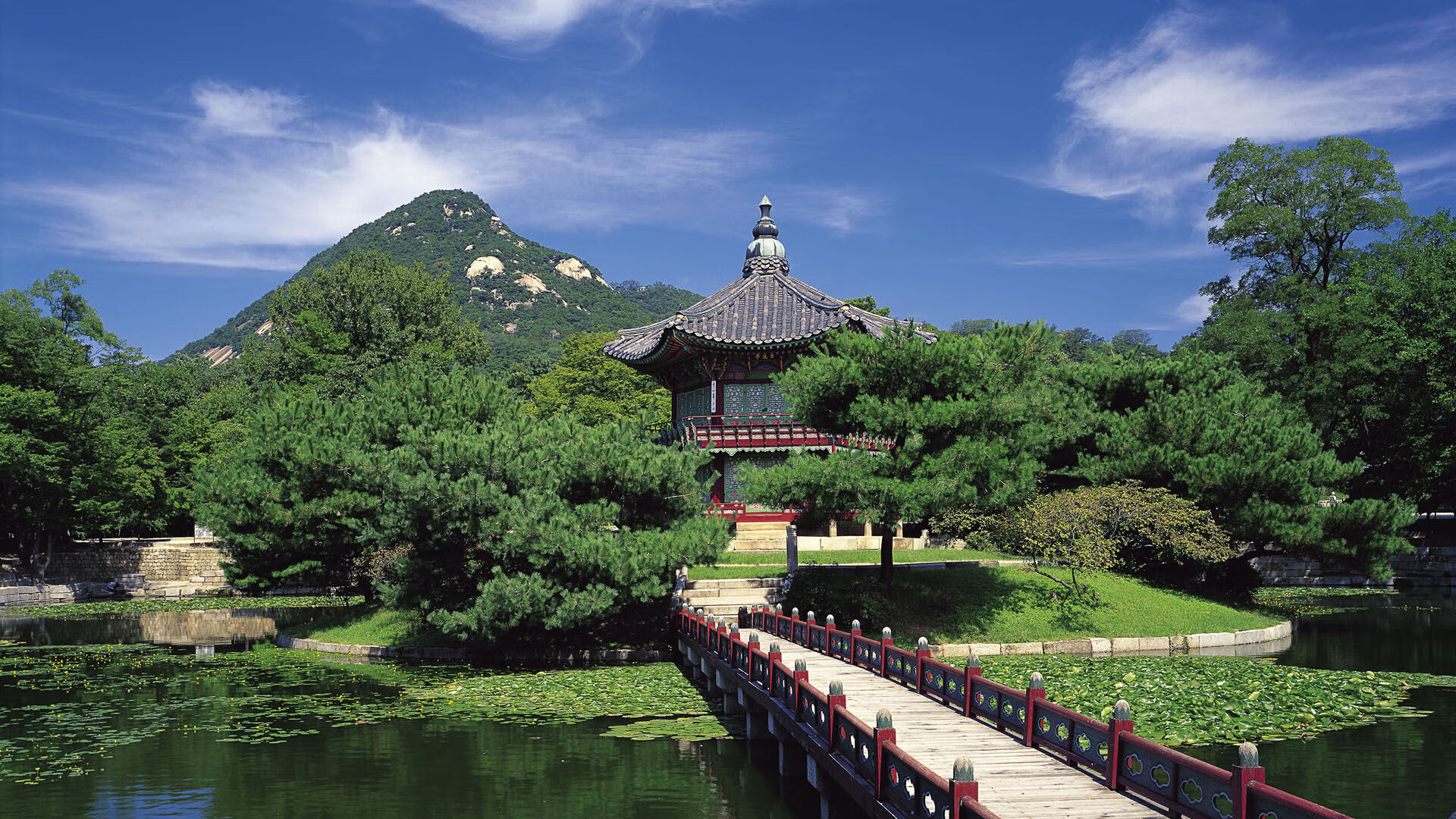 爱游戏娱乐-蝶泳冲刺南非选手节奏精准，蝶泳高手