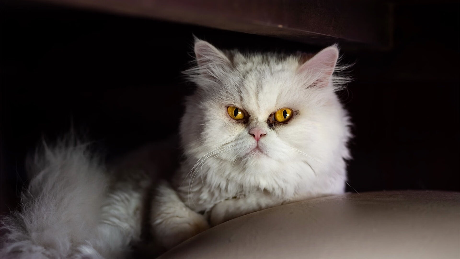 西甲传奇再现：天王闪耀瞬间成经典，西甲传奇中场