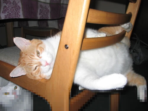 西甲金球之战:明星斗技,精彩纷呈!,西甲金牌