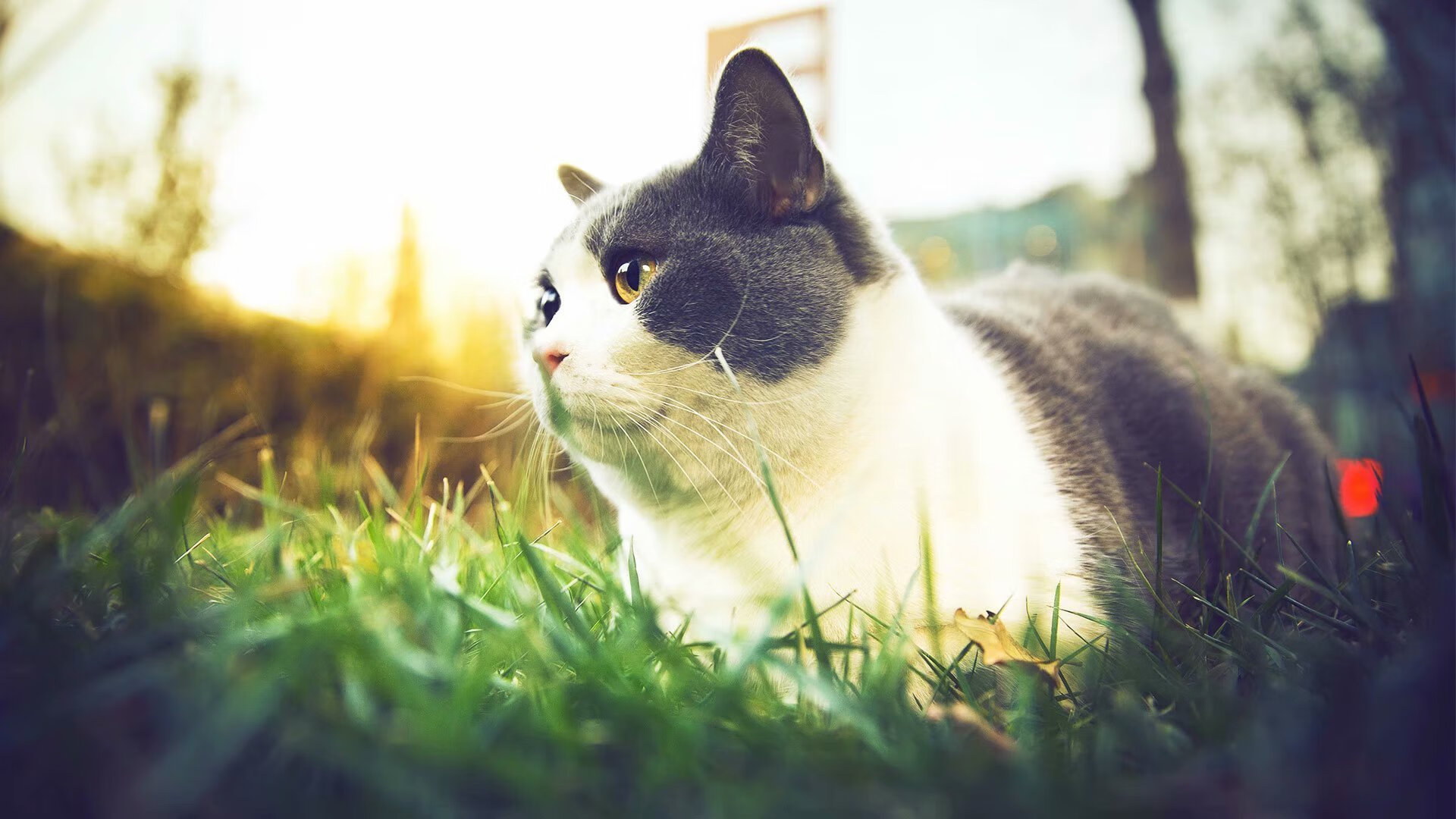 爱游戏官网-陈艺文赛后致谢团队支持，陈艺文赛后致谢团队支持的句子