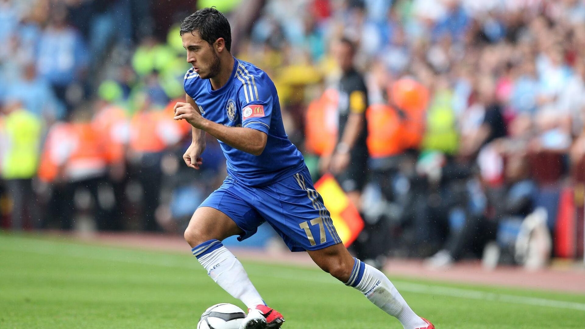 比利时马术协会建立马匹基因数据库，促进马匹选育与训练。，比利时的马